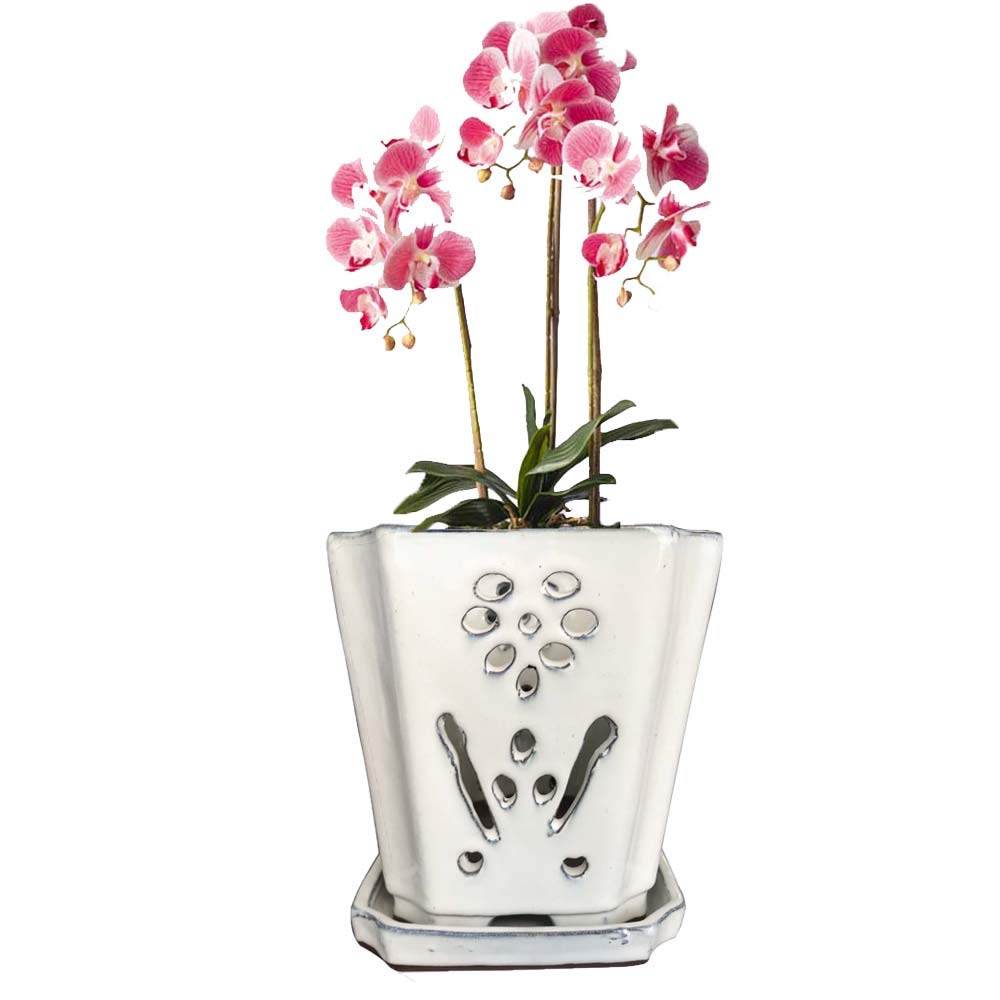 7 Inch Cream Orchid Pot with Drainage Hole - Large Indoor & Outdoor Planter for Orchids - Perfect for Home Decor, Office Plants, and Garden Flowers