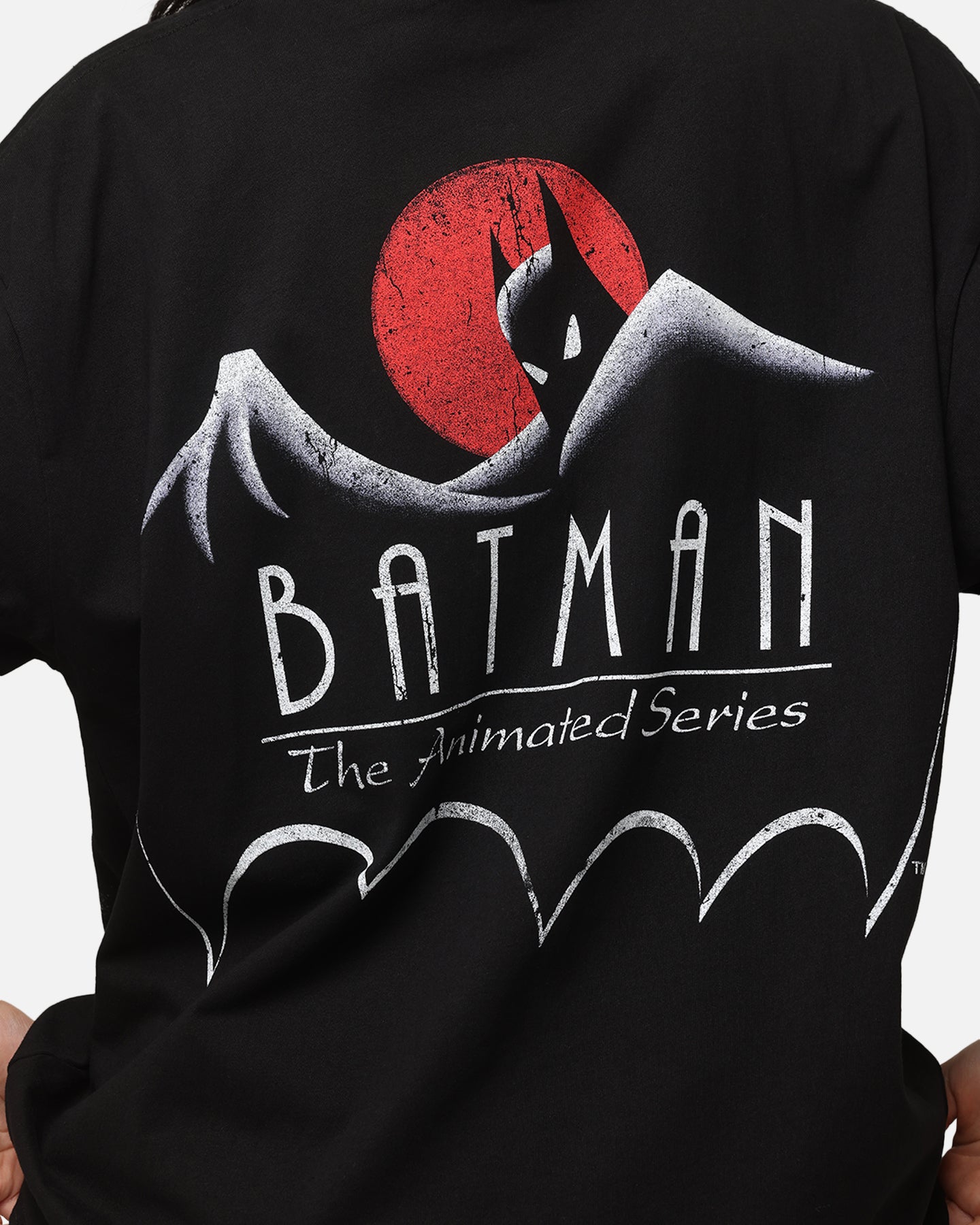 Vintage 1992 Batman And Robin Graphic T-Shirt - DC Comics Heavy Cotton Tee for Men - Perfect for Cosplay, Comic Con & Casual Wear