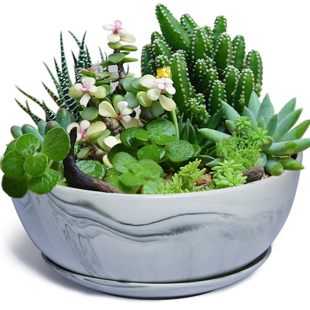 G EPGardening 10 Inch Large Marble Pattern Ceramic Planter Pot - Indoor/Outdoor Succulent & Flower Container for Home, Office, Garden Decor | Perfect for Plants, Herbs, and Decorative Displays