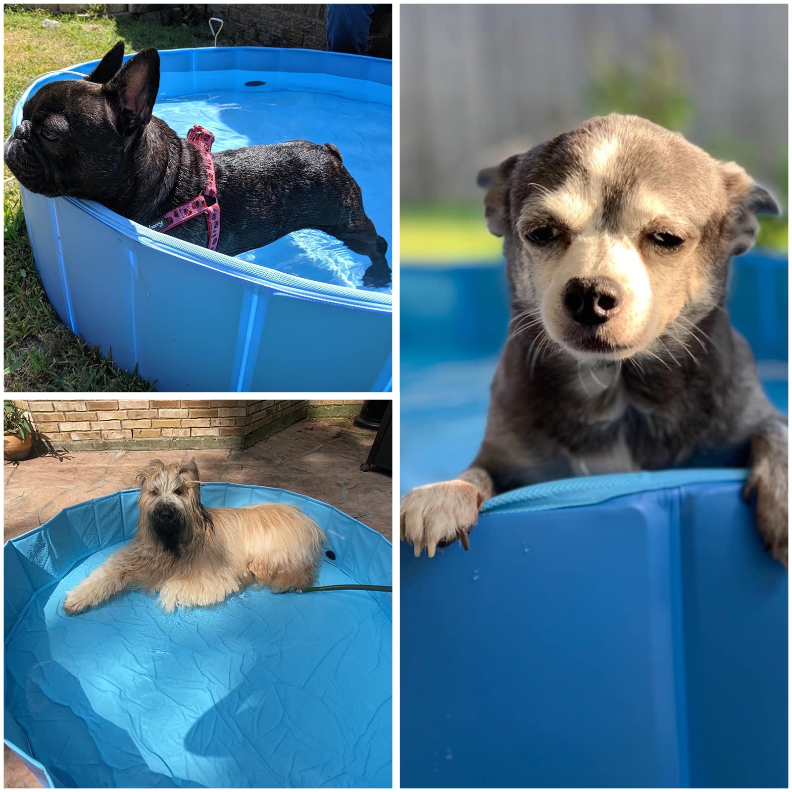 Foldable PVC Pet Swimming Pool - Portable Collapsible Dog Bath Tub for Indoor & Outdoor Use, Blue (47