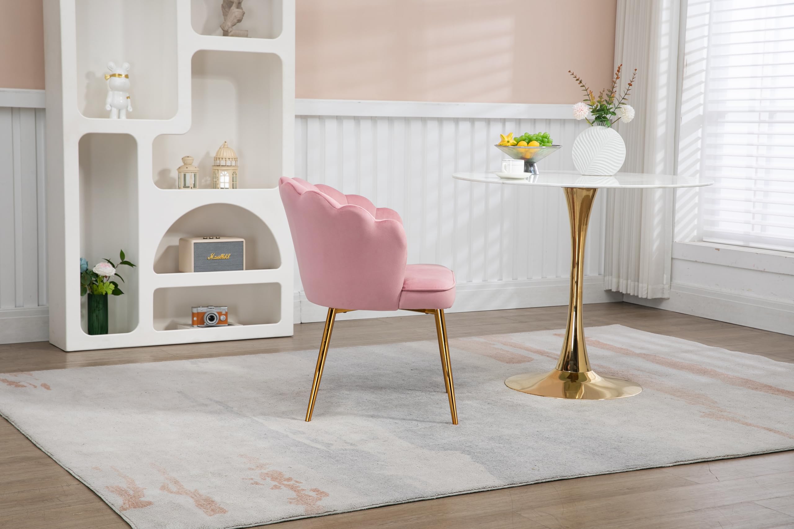 Modern Velvet Vanity Chair with Golden Metal Legs & Petal Back - Comfy Upholstered Armchair for Bedroom, Dining, Makeup Desk - Soft Pink Velvet Seat for Women & Girls (Perfect for Dressing Rooms, Boudoirs & Teen Bedrooms)
