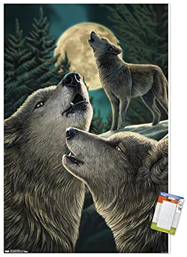 Premium Poster & Mount Bundle