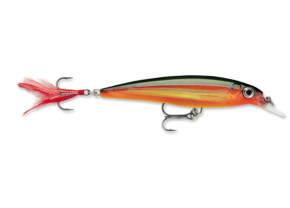 Rapala XR08 X Rap Fishing Lures – Topwater & Deep Diving Plugs for Bass, Walleye & Pike – Perfect for Freshwater & Saltwater Fishing Adventures