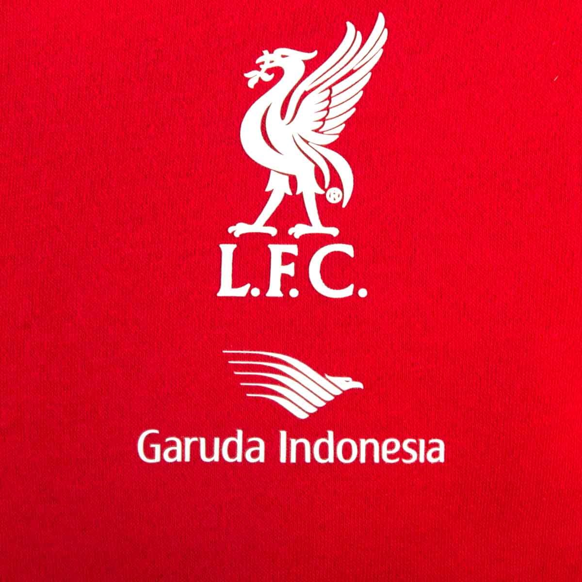 Liverpool FC Kids Hoodie 2015-2016 Season - Red Football Sweatshirt for Boys & Girls - Perfect for Match Day, School & Outdoor Activities