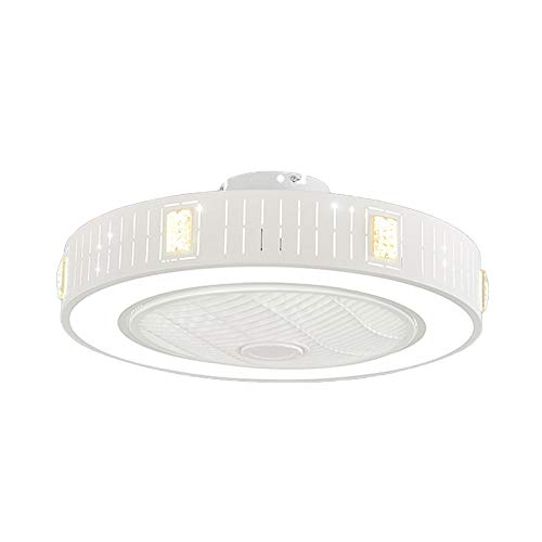 Dimmable LED Ceiling Fan with Light - 21.5