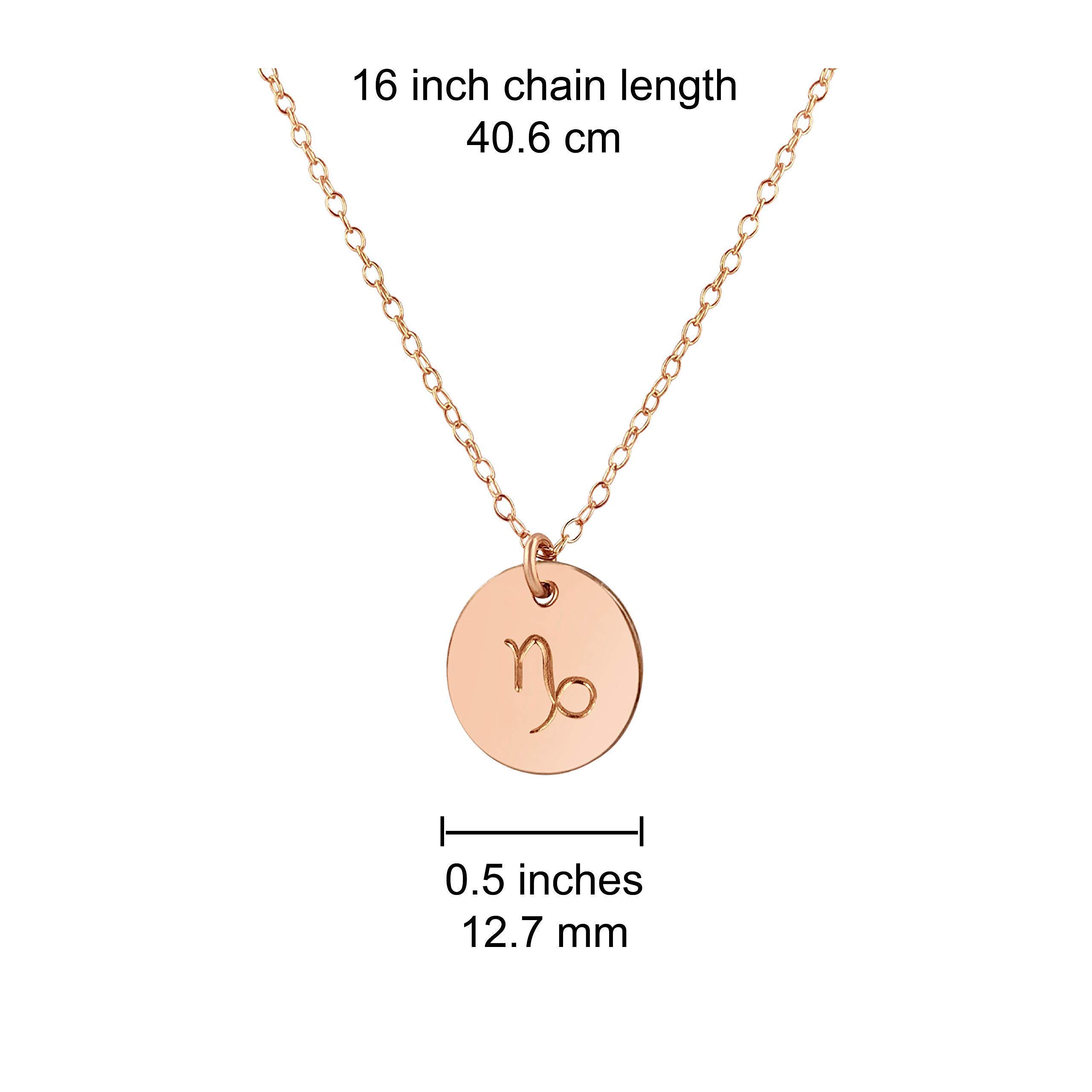 Rose Gold Capricorn Zodiac Necklace - 16