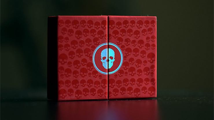 Skull & Bones Special Edition - Collector's Gaming Bundle | Limited Edition Video Game for PC & Consoles | Perfect for Pirates & Adventure Fans