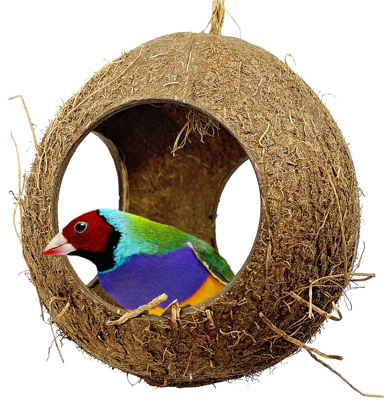 Bonka Bird Toys 2114 Three Hole Coconut Hut Nest for Parrots - Cozy Sleeping & Playing Hideout for Small Birds Like Cockatiels, Lovebirds, and Parakeets