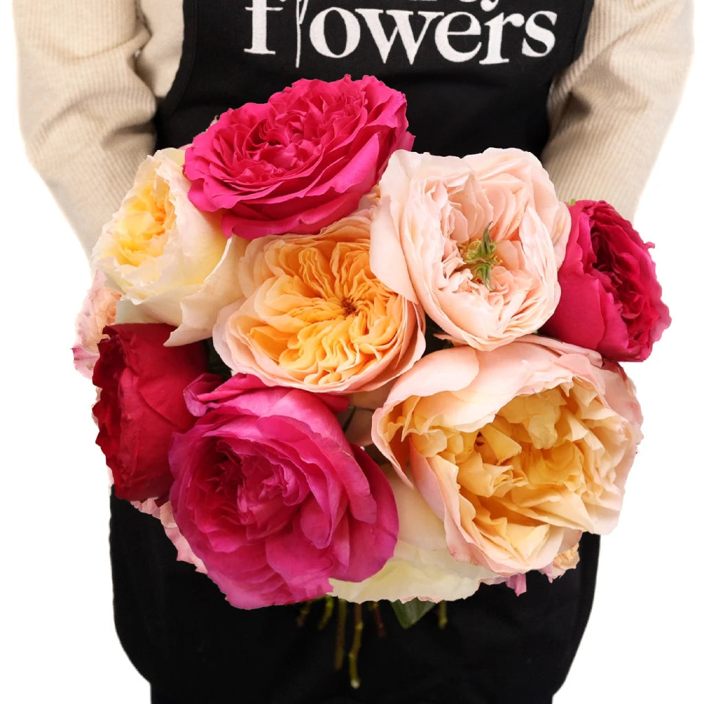 Premium Assorted David Austin Garden Roses - Fresh Cut Flowers for Weddings, Bouquets & Home Decor