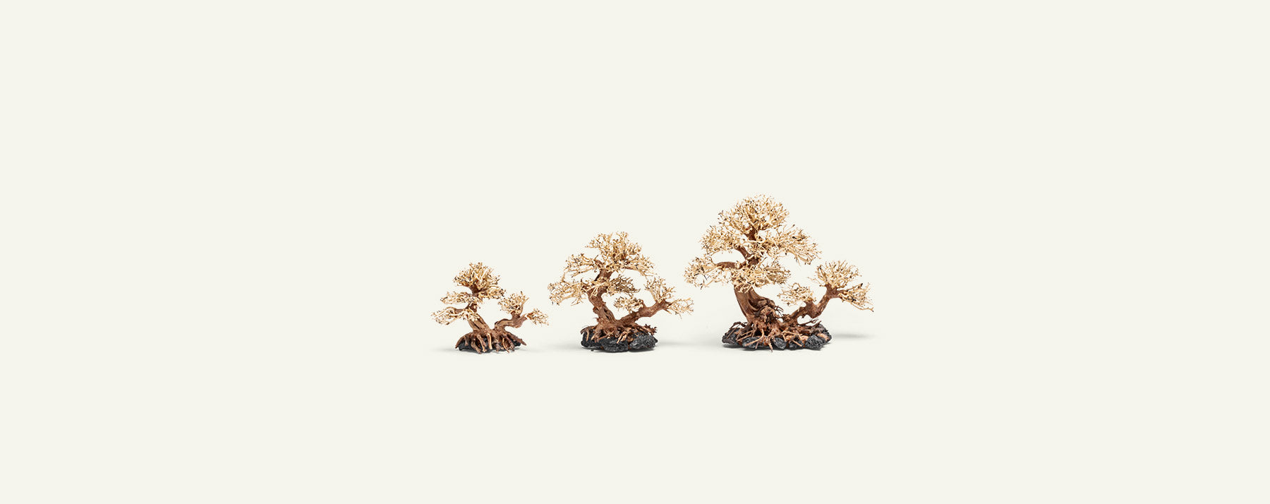 Uns Bonsai 011 - Premium Mini Bonsai Tree for Home & Office Decor | Perfect for Zen Gardens, Desk Decorations, and Gift Ideas