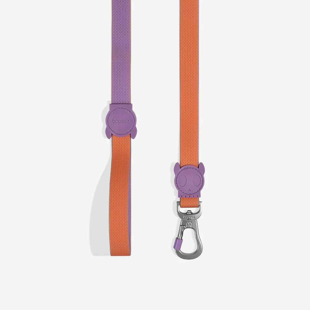 Neopro Iris Dog Collar by Zee.Dog - Durable & Stylish Pet Collar for Small & Medium Dogs - Perfect for Walks, Training & Everyday Use