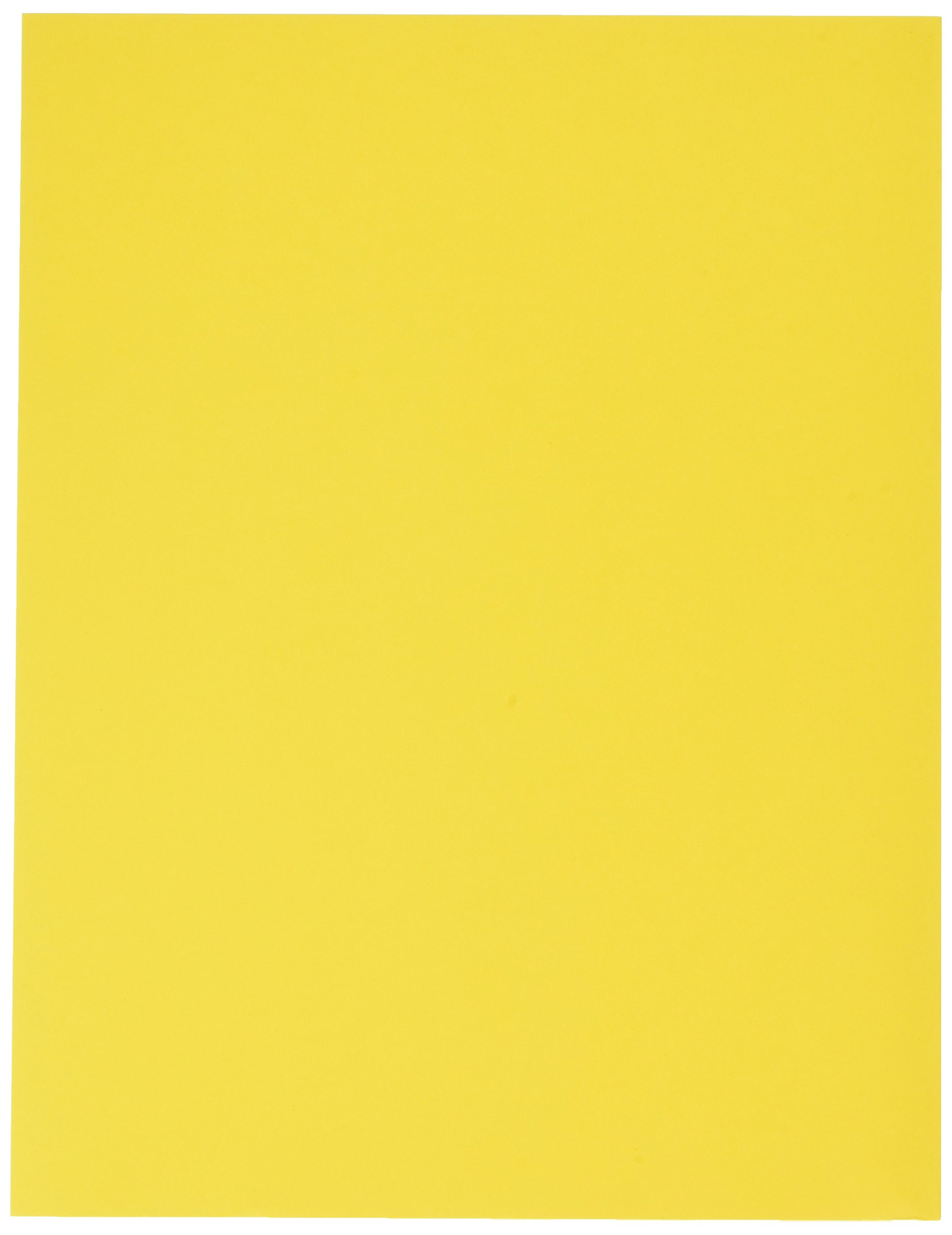 Premium Wausau Paper Card Stock (WAU22791) - 250 Sheets of Heavyweight Paper for Scrapbooking, Invitations & DIY Crafts