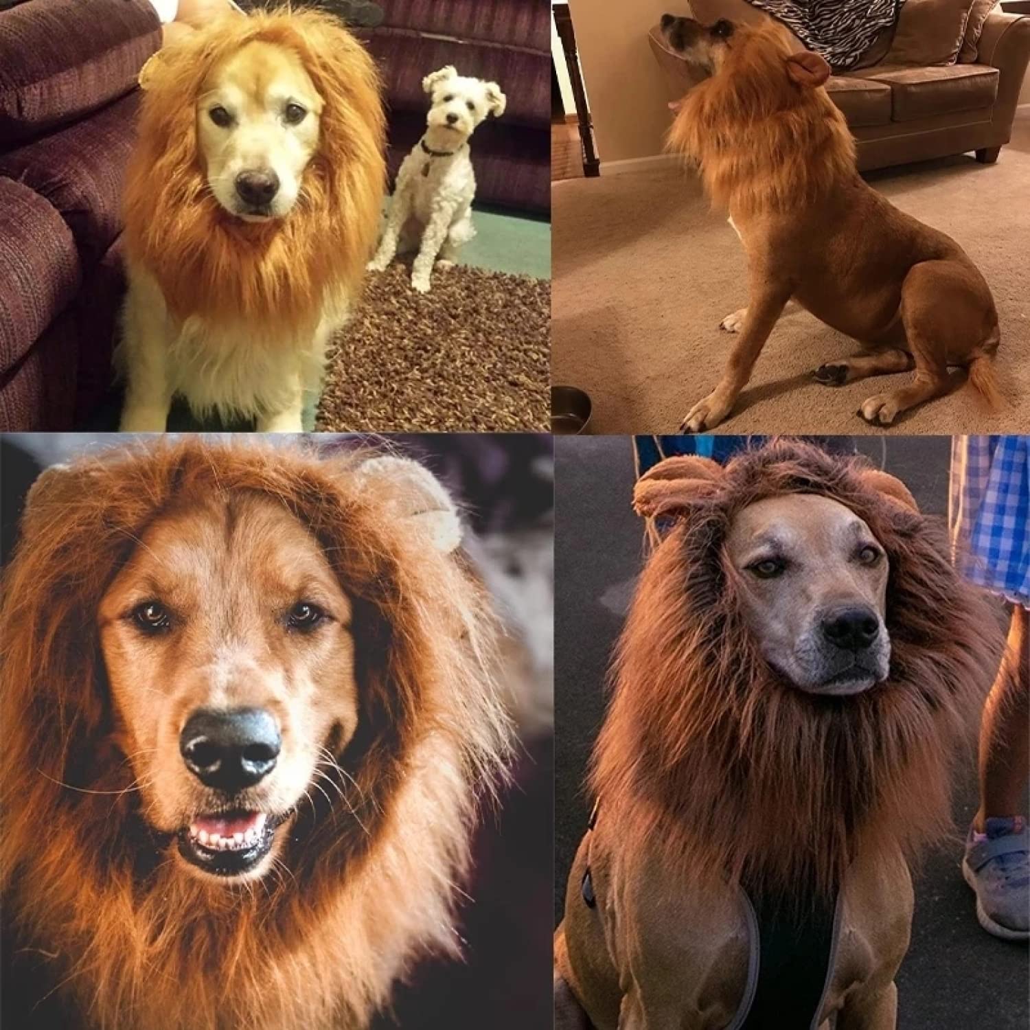 Realistic Lion Mane Wig for Medium & Large Dogs - Funny Halloween Pet Costume (Large, Light Brown) | Perfect for Halloween Parties, Pet Parades & Photo Shoots