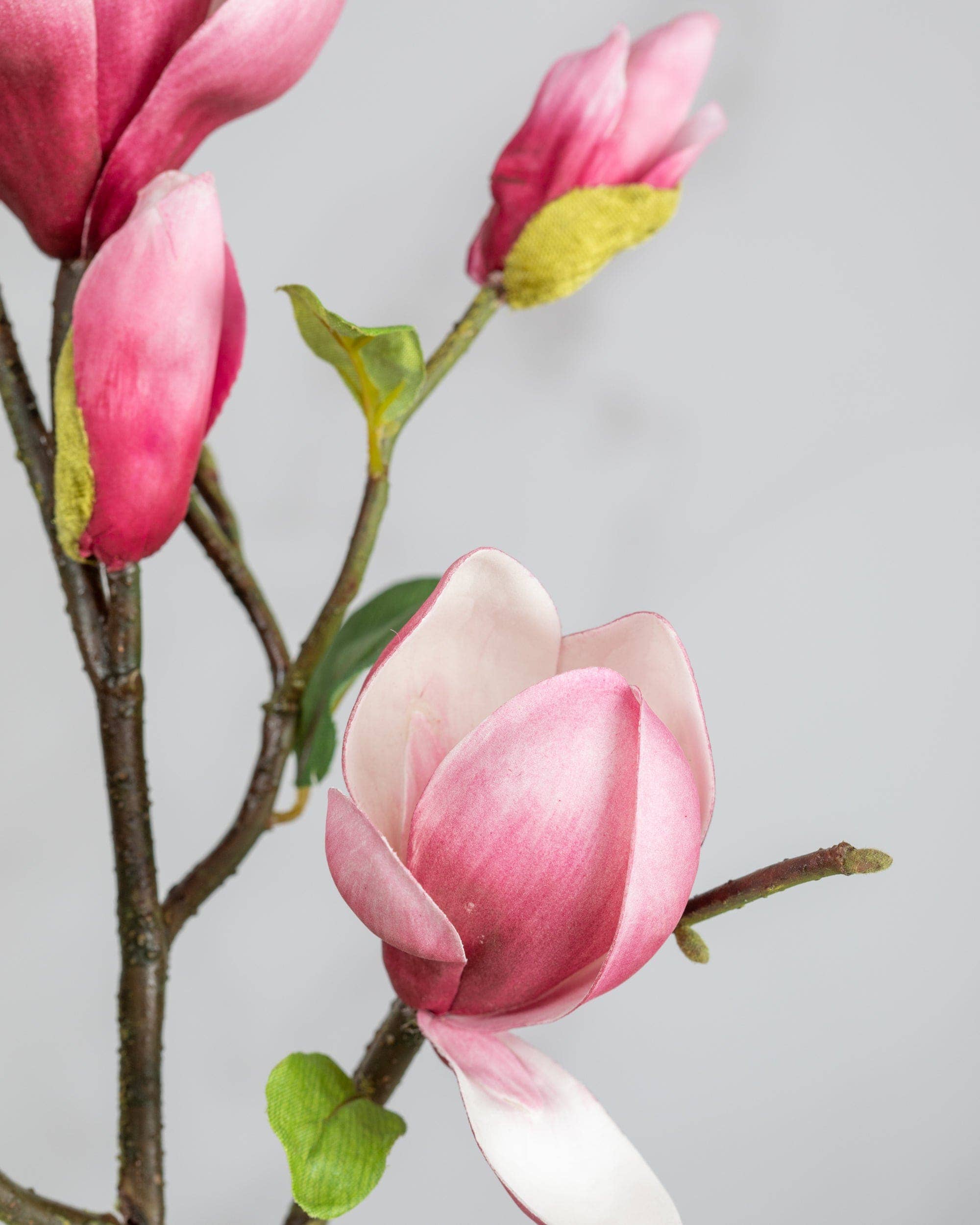 Artificial Pink Magnolia Stem - 20