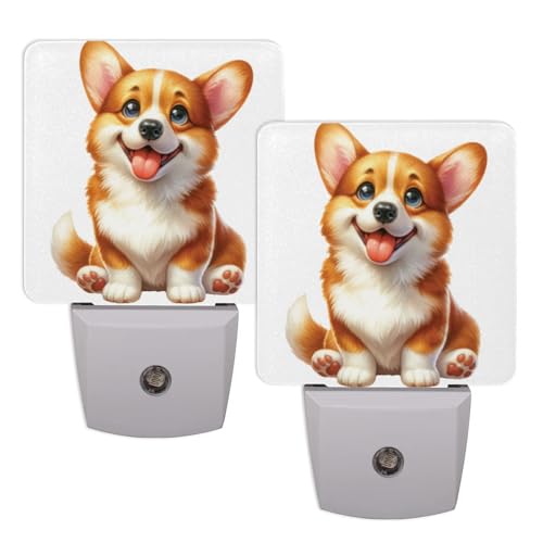 C:Cute Animal Dog