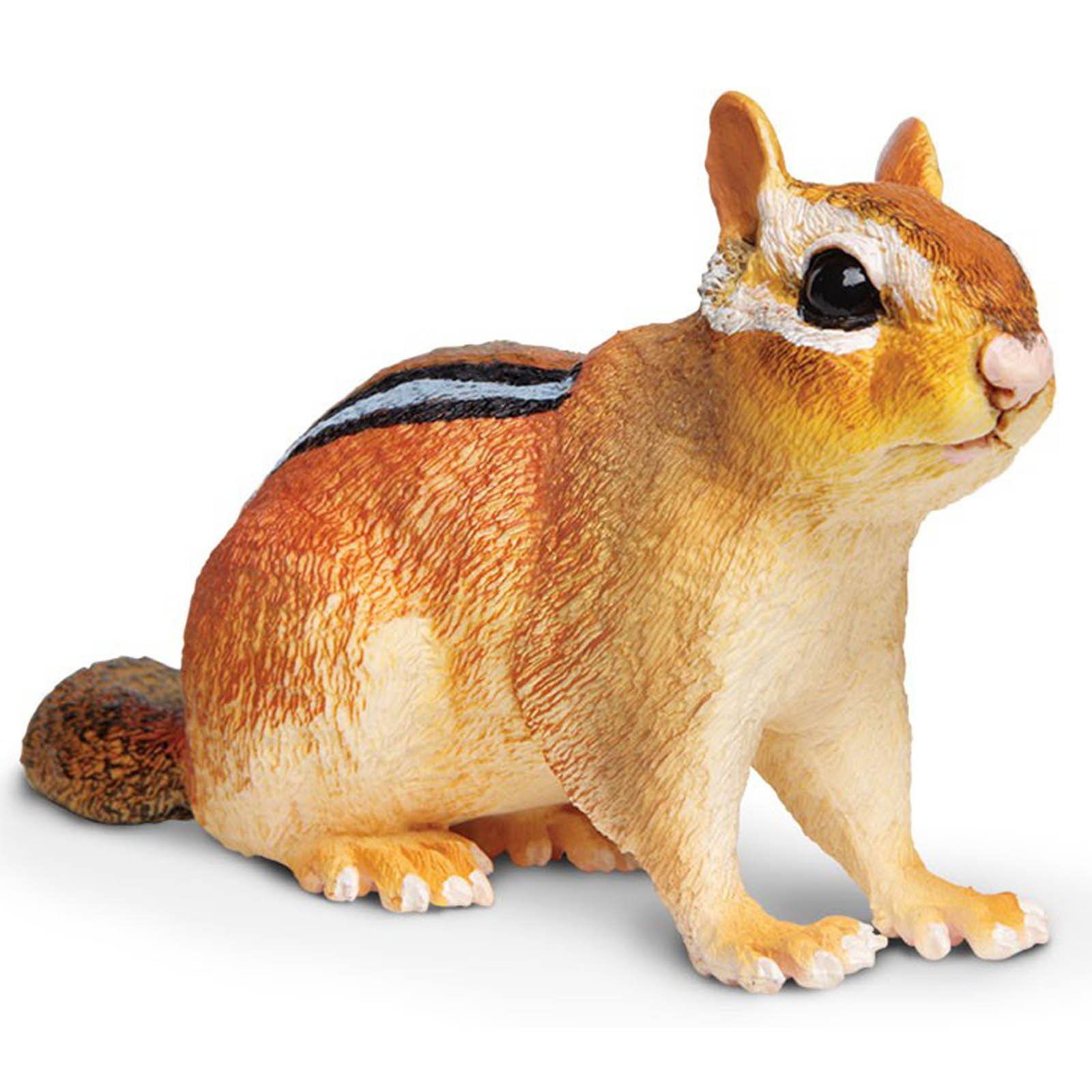 Safari Ltd Eastern Chipmunk Realistic Animal Figure - Educational Wildlife Toy for Kids, Nature Lovers & Collectors | Perfect for Playtime, Classroom Learning & Home Decor
