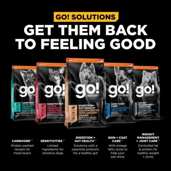 Go! Solutions Digestion + Gut Health Salmon Recipe Dry Dog Food with Ancient Grains - Supports Healthy Digestion for Dogs with Sensitive Stomachs - Perfect for Adult Dogs & Puppies with Allergies or Food Sensitivities