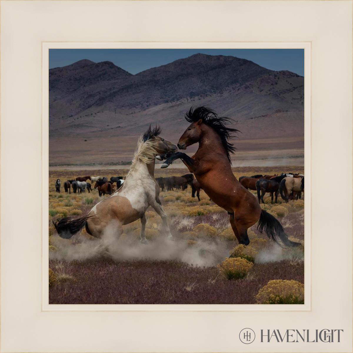 Desert Duel 5 by Greg Sargent - Western Action Novel - Perfect for Book Clubs & Cowboy Adventure Fans