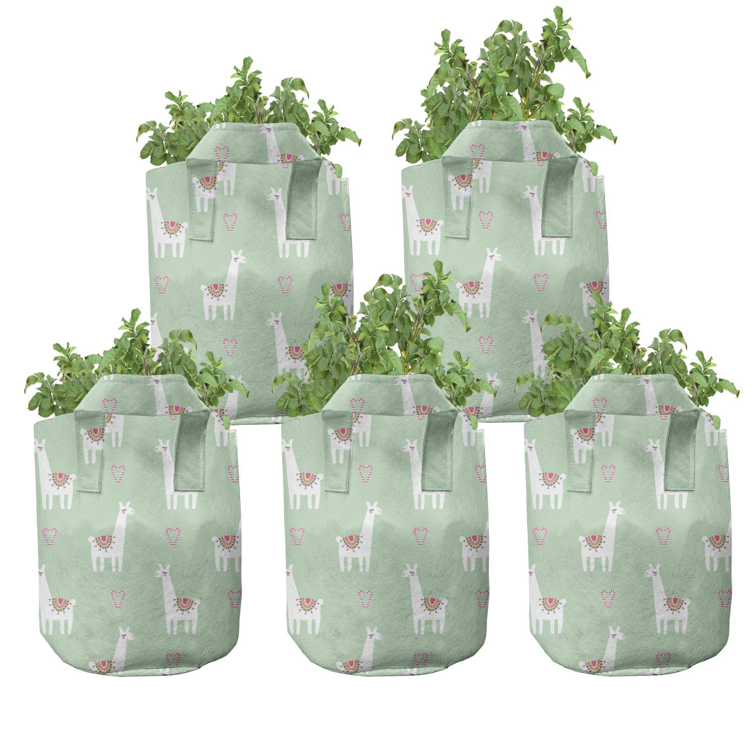 Ambesonne 5-Pack Llama Grow Bags - 5 Gallon Heavy Duty Fabric Plant Pots with Handles, Mint Green Multicolor Candy Cane Hearts Design - Perfect for Indoor/Outdoor Gardening, Herbs, Vegetables & Flowers