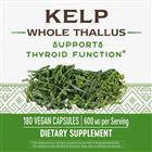 Nature's Way Kelp Supplement - 250 Capsules | Iodine Rich Seaweed for Thyroid Support & Metabolism Boost | Vegan, Non-GMO, Gluten-Free | Great for Thyroid Health & Energy Levels