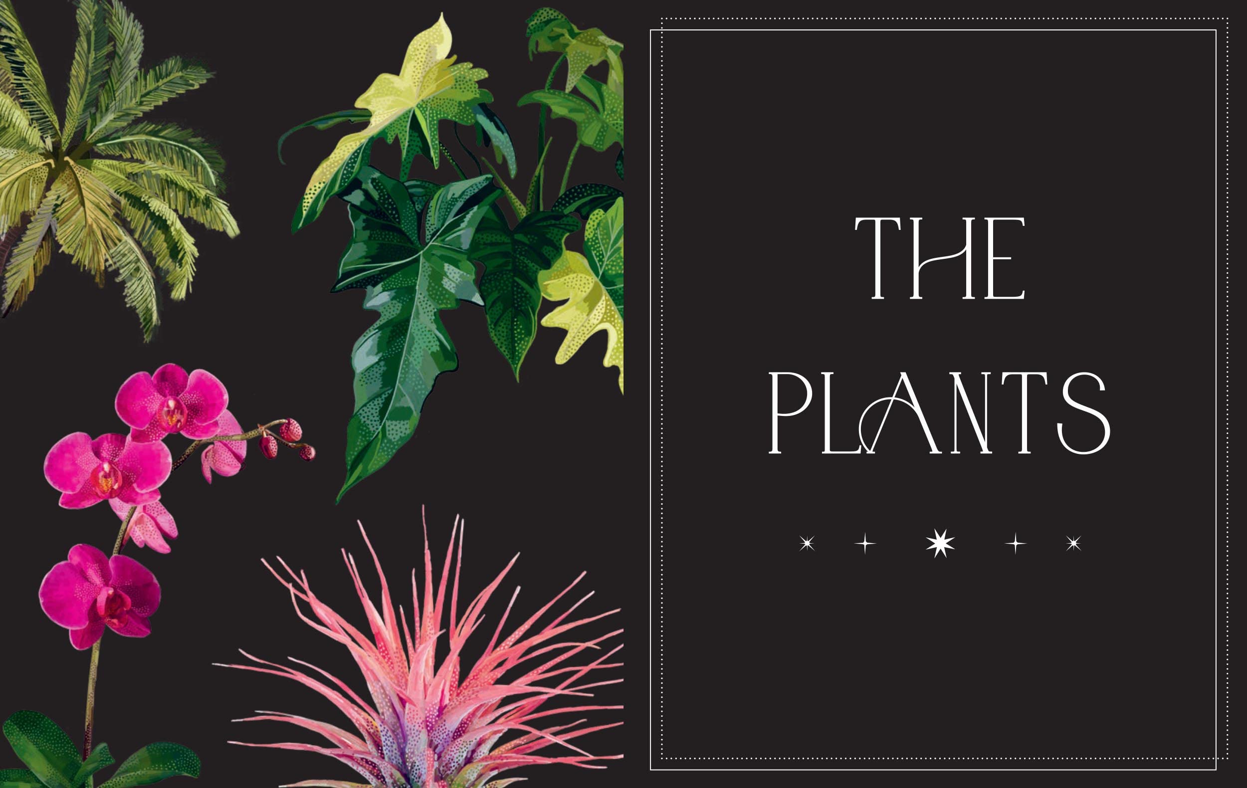 Everyday Plant Magic: Harness the Healing Power of Nature to Transform Your Life | Indoor Gardening, Home Decor & Wellness Lifestyle