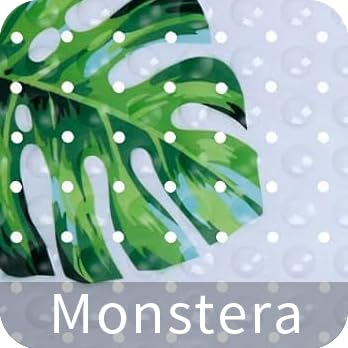 Monstera