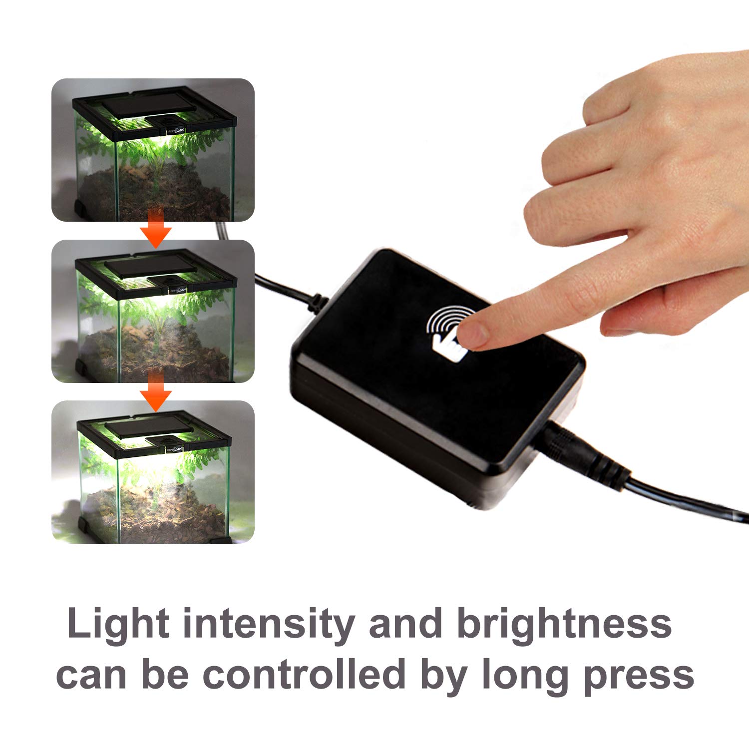 REPTI ZOO Reptile LED Terrarium Light - Day & Night Mode with White & Blue Light for Lizards, Snakes, Geckos - Perfect for Desert & Tropical Habitats