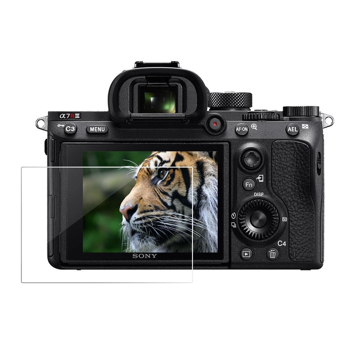 Sony ZV-1 Compact 4K HD Digital Camera with Shooting Grip Tripod Bundle - 64GB UHS-II SD Card, Carrying Bag, Corel Software, Screen Protector & Cleaning Kit (White) - Perfect for Vlogging, Travel Photography & Content Creation