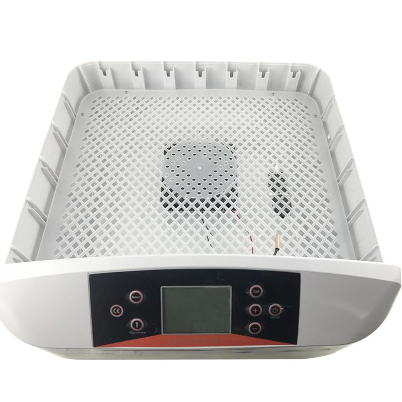Automatic Mini Egg Incubator for 56 Chicken Eggs - Digital Temperature Control with Built-in Egg Tester - Portable Poultry Hatching Machine (White) - Perfect for Home Farms, Classroom Projects & Backyard Chicken Breeding