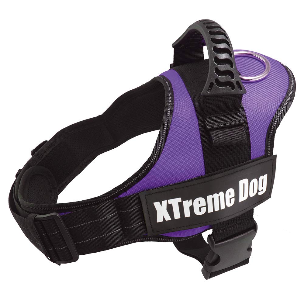 Xtreme Dog Harness for Small Dogs - Adjustable & Durable Pet Harness in Lilac, XS (44-57 cm) - Perfect for Walking, Running & Outdoor Adventures