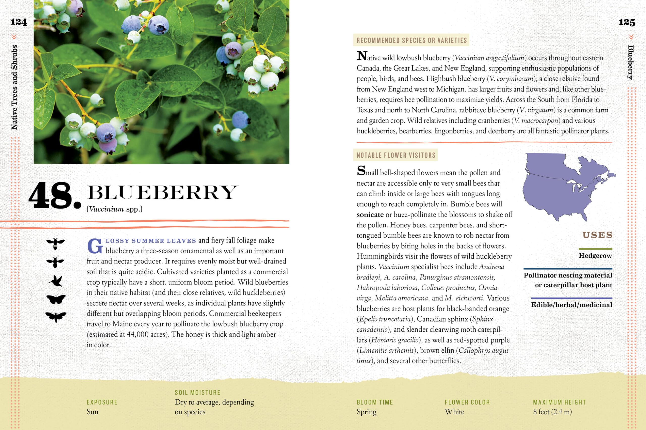 100 Plants to Feed the Bees: The Ultimate Guide to Creating a Pollinator-Friendly Garden for a Thriving Ecosystem | Perfect for Backyards, Urban Gardens & Sustainable Landscaping