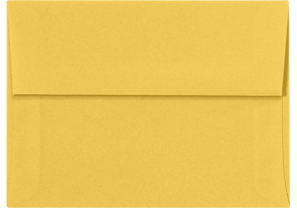 Aspen Treasure Note Cards - Boxed Set of 20 All-Occasion Greeting Cards with Matching Envelopes | Thank You Cards, Birthday Wishes, Wedding Stationery & More | Perfect for Holidays, Anniversaries & Special Events
