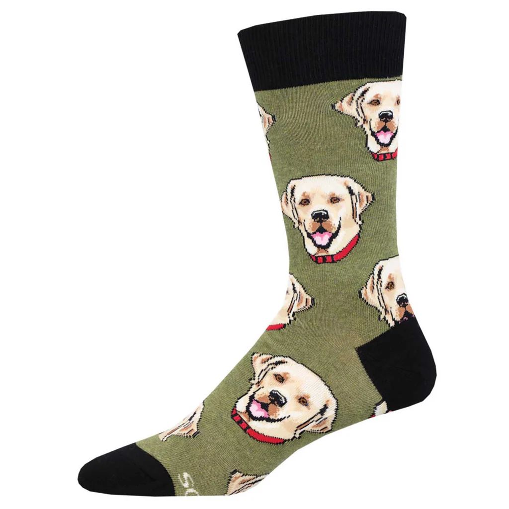 Premium Labrador Retriever Puppy Supplies & Accessories – Durable Dog Toys, Training Gear & Grooming Kits for Active Labs | Perfect for Outdoor Adventures, Family Pets & Service Dogs