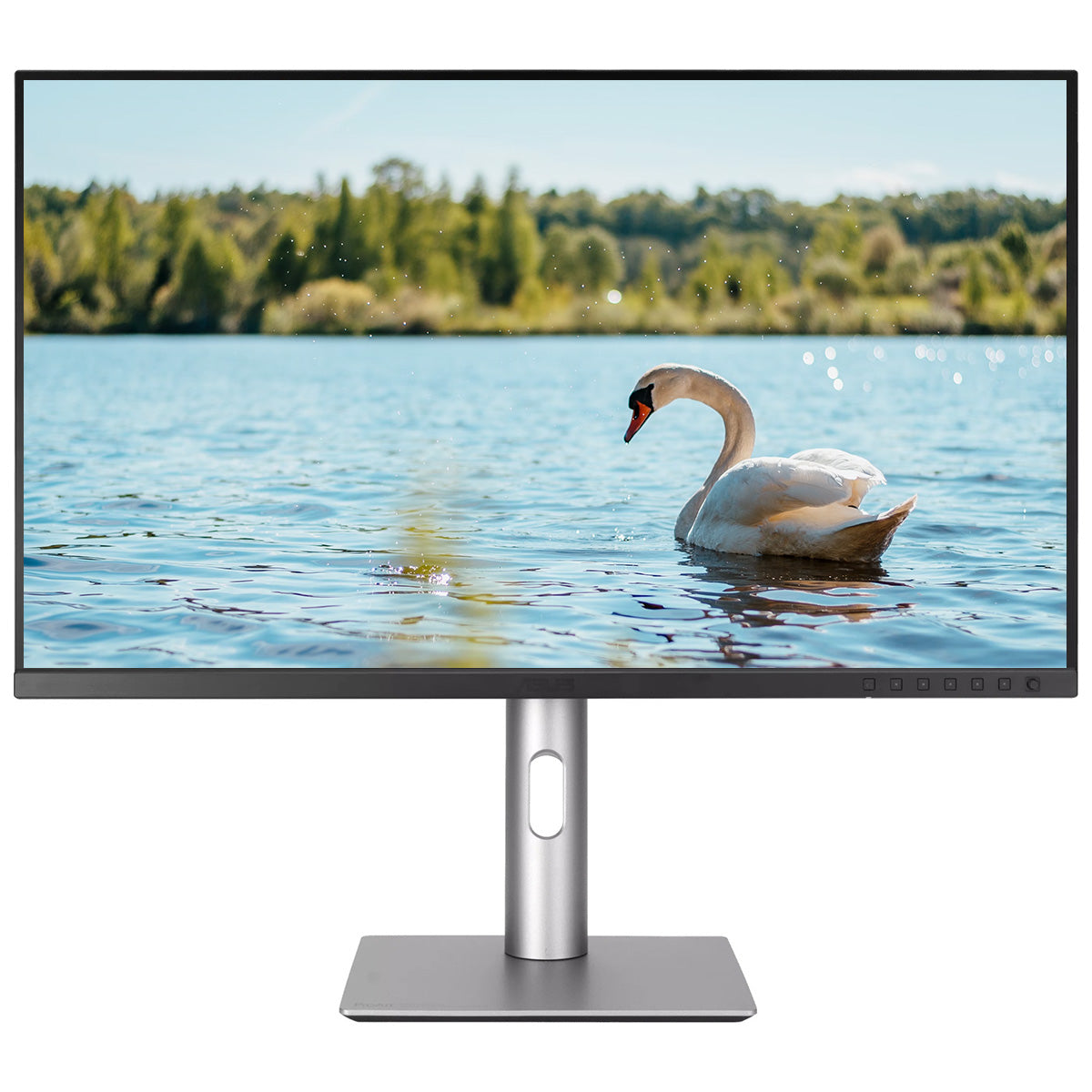 ASUS ProArt PA329CRV 31.5