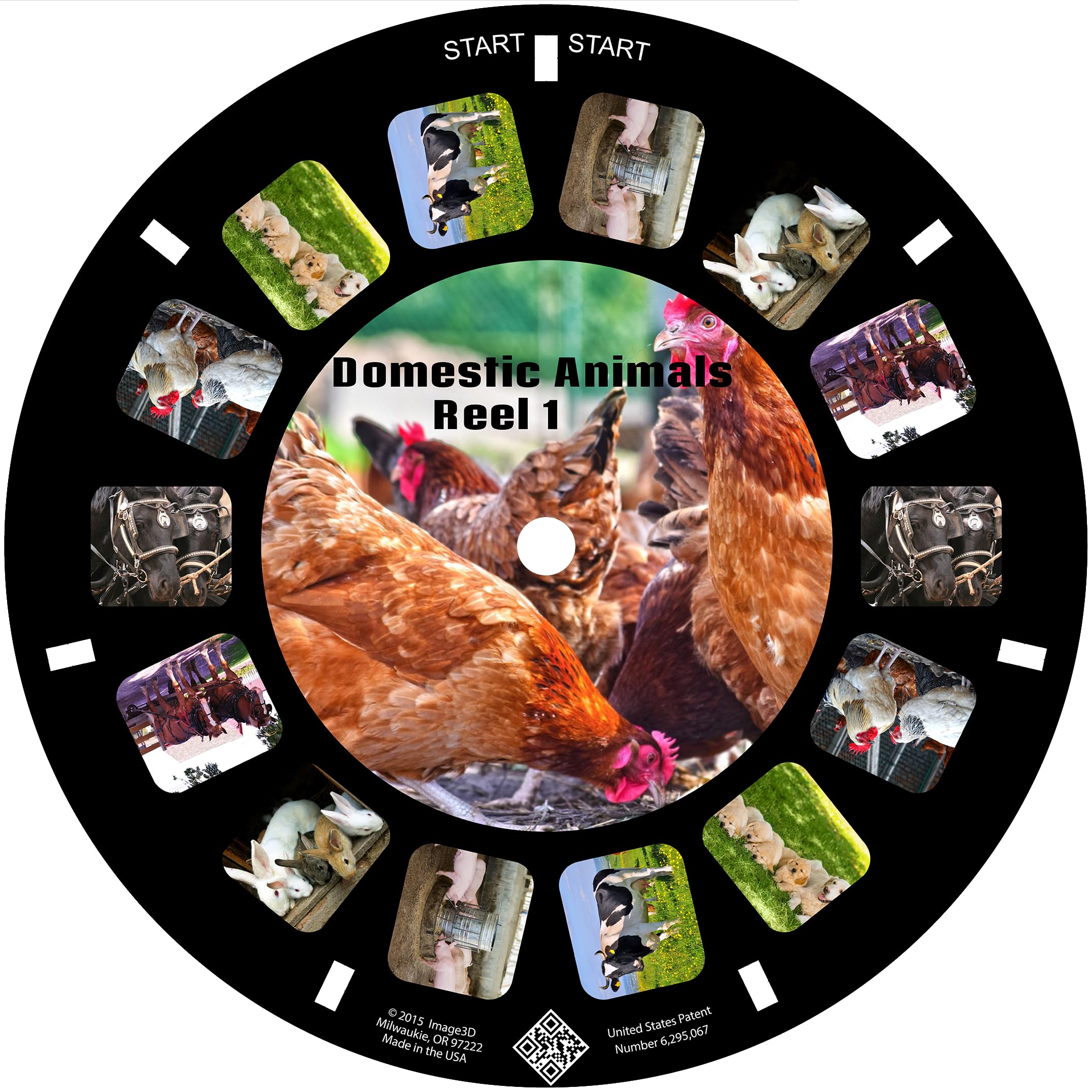 MayKo Farm Animal View-Master Reels - 3-Pack Compatible with Classic Viewers | Domestic Animals & Wildlife Educational Toy for Kids | Perfect for Storytelling, Learning, and Family Entertainment