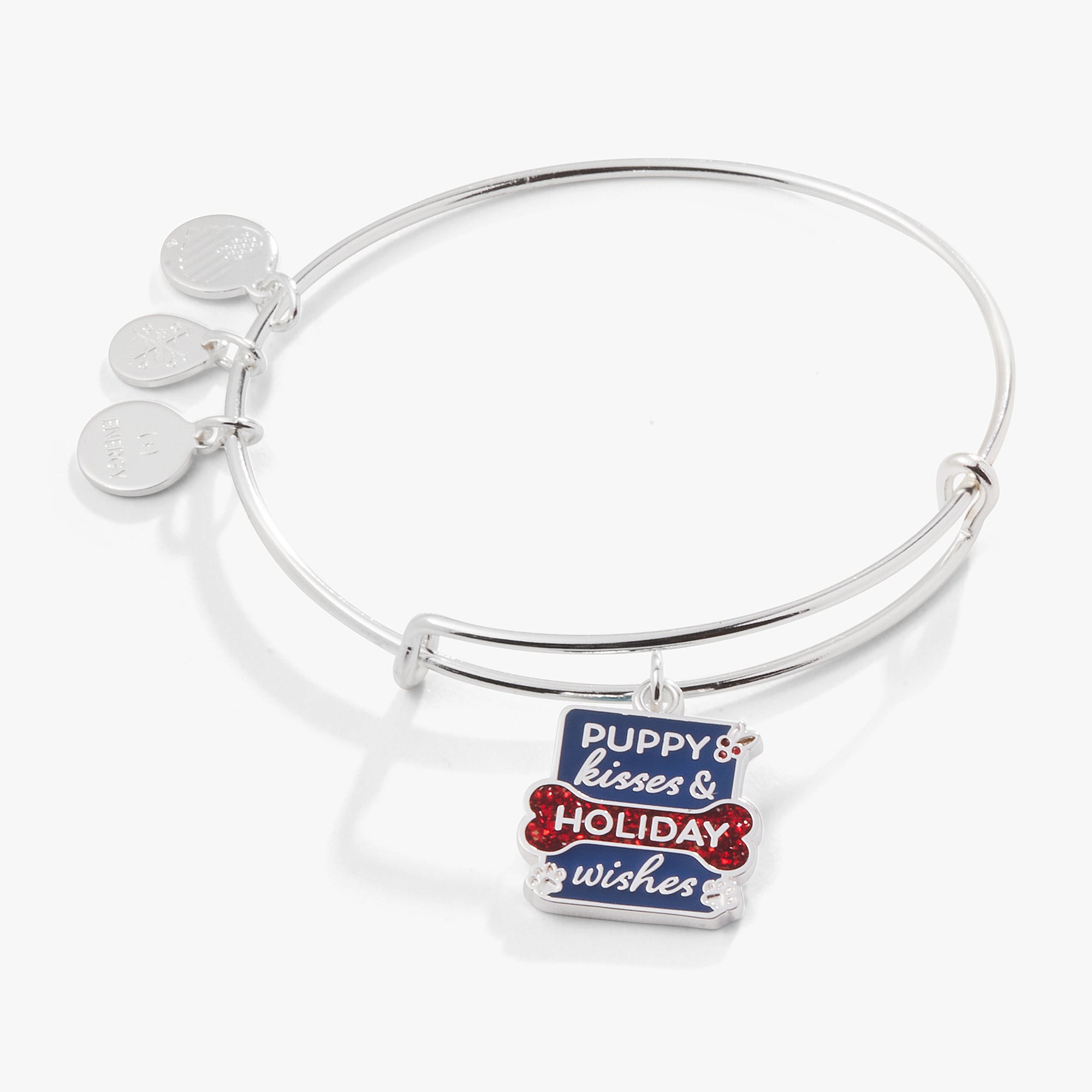 Puppy Kisses & Holiday Wishes Charm Bracelet - Cute Dog Lover Gift for Christmas, Birthdays & Special Occasions