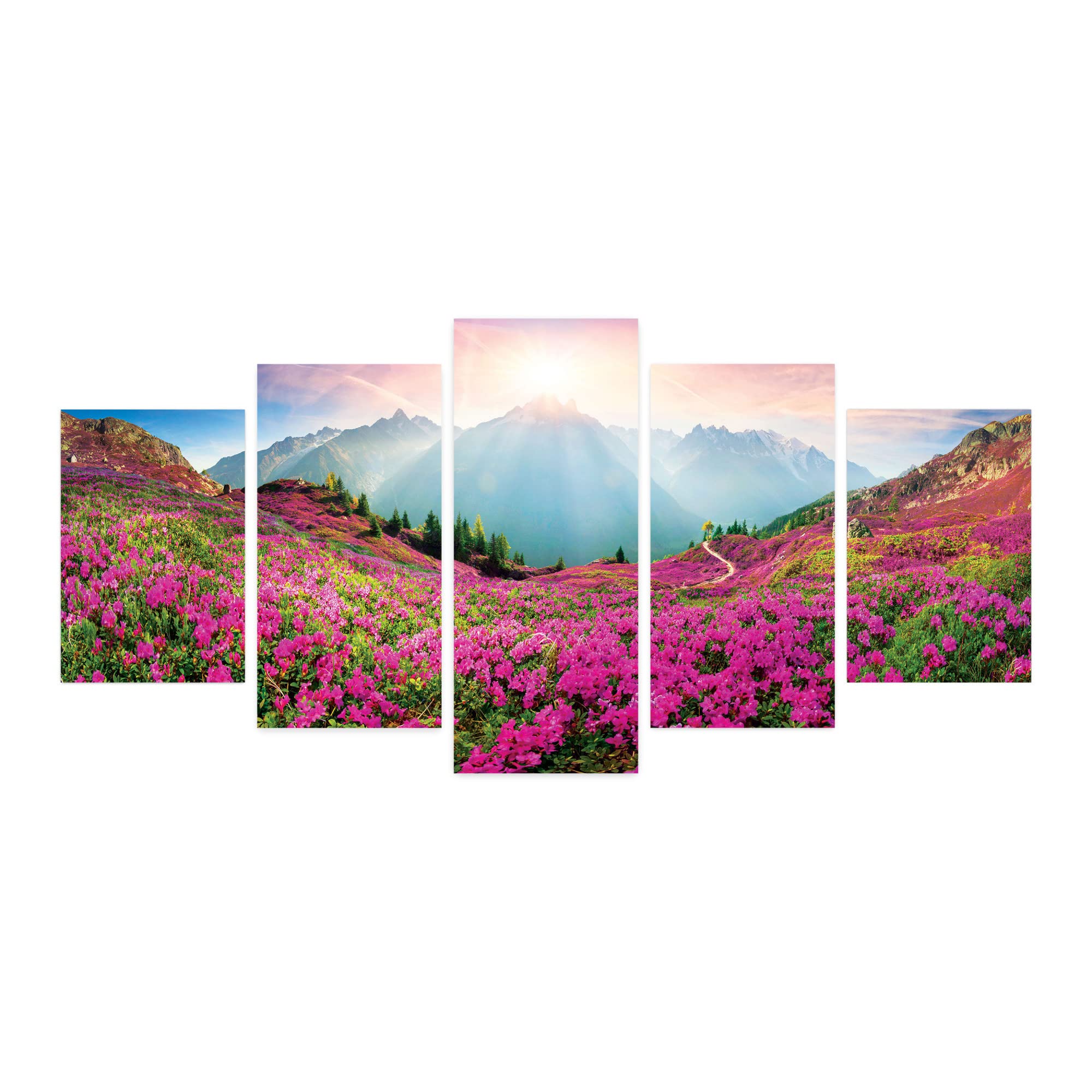 Ambesonne 5-Panel Acrylic Glass Wall Art - Mont Blanc Alpine Peaks & Wildflowers Spring Nature Scenery - 60
