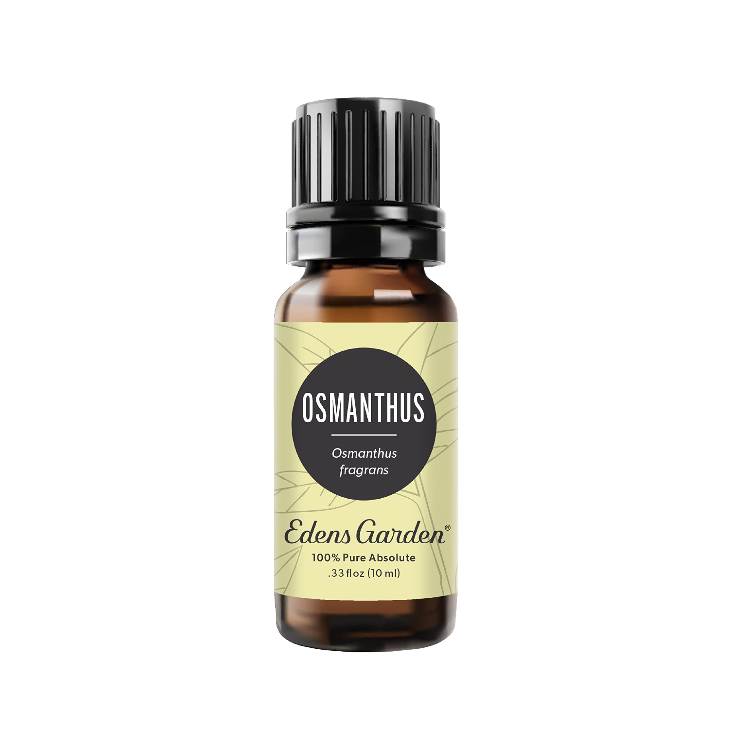 Edens Garden 100% Pure Osmanthus Essential Oil - Premium Grade, Undiluted & Natural for Aromatherapy, Diffusers, Skin Care, Hair Treatment (10ml / 0.33 fl oz) | Perfect for Relaxation, Massage & Home Fragrance