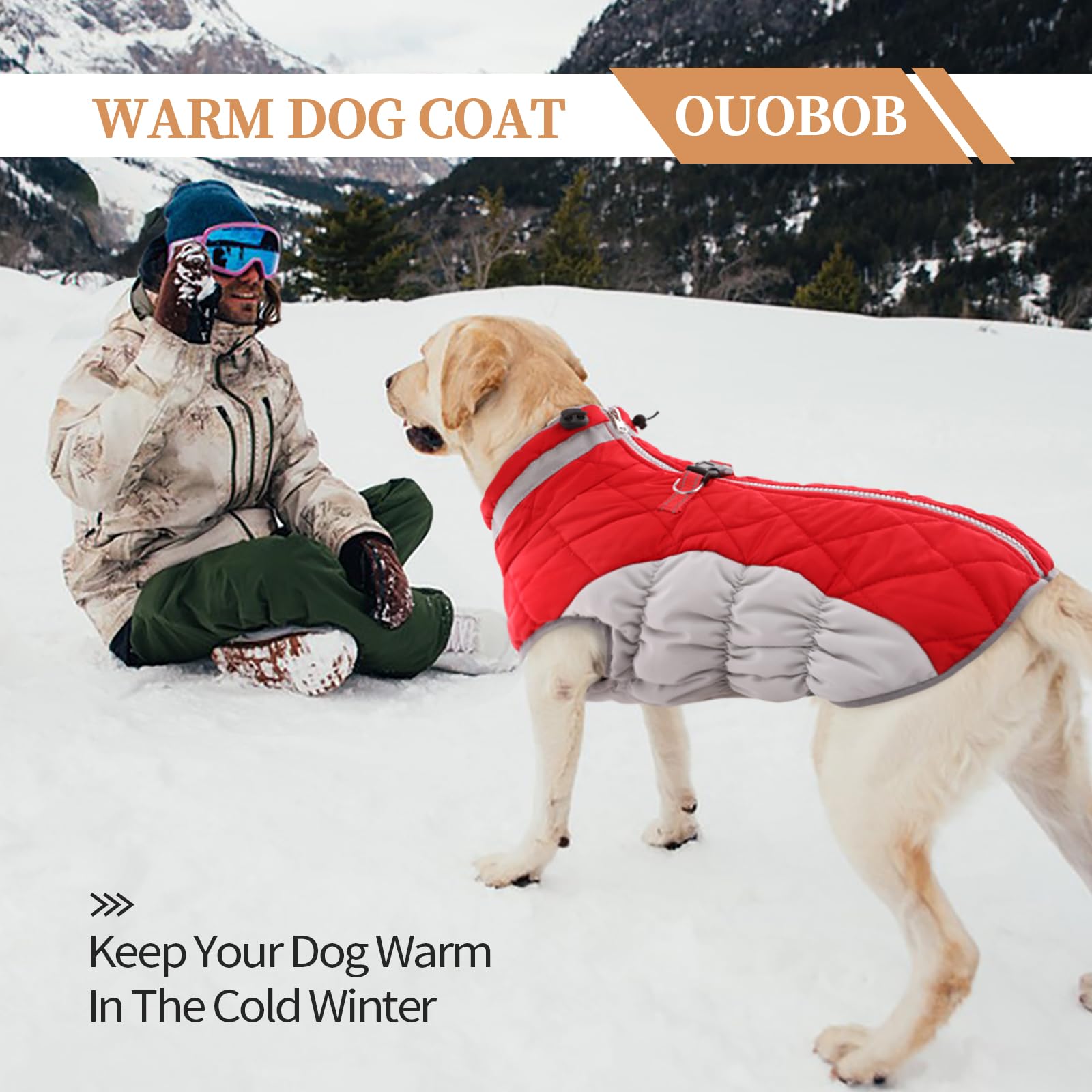 Waterproof Fleece-Lined Dog Winter Coat for Medium Dogs - Warm Zip-Up Jacket with D-Ring for Cold Weather, Snowsuit for Pug & Boston Terrier (Red, Size M) - Perfect for Winter Walks & Outdoor Adventures