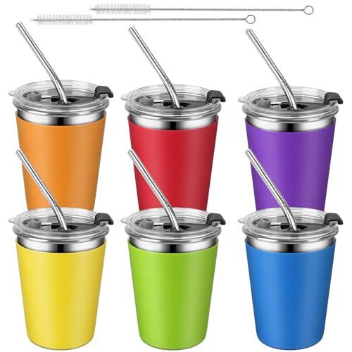 6pack rainbow color with metal straws