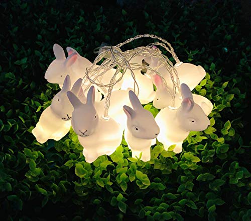 Warm White Rabbit