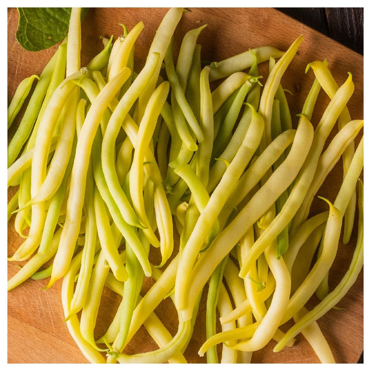 Everwilde Farms - 100 Golden Wax Yellow Bean Seeds - Non-GMO, Heirloom Vegetable Seeds for Planting - Gold Vault Jumbo Seed Packet - Perfect for Home Gardens, Raised Beds & Container Planting