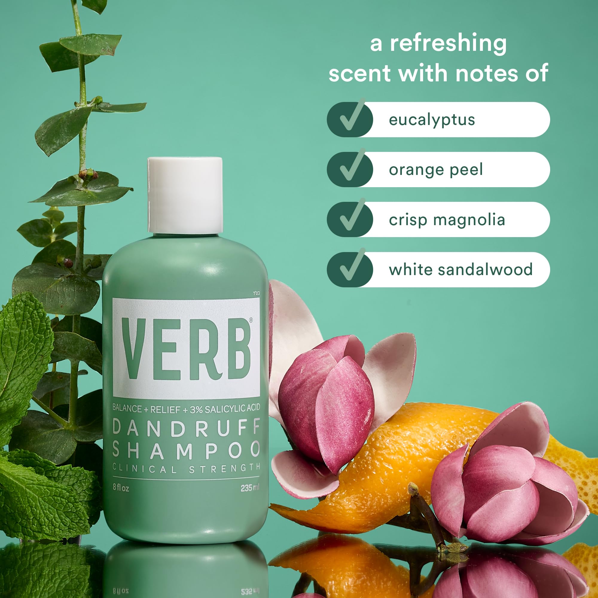 VERB Anti-Dandruff Shampoo for Scalp Care - Soothes Itchy Scalp & Flakes - Perfect for Daily Use & Sensitive Scalp