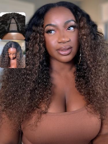 Ombre Chestnut Brown｜ V Part Wig