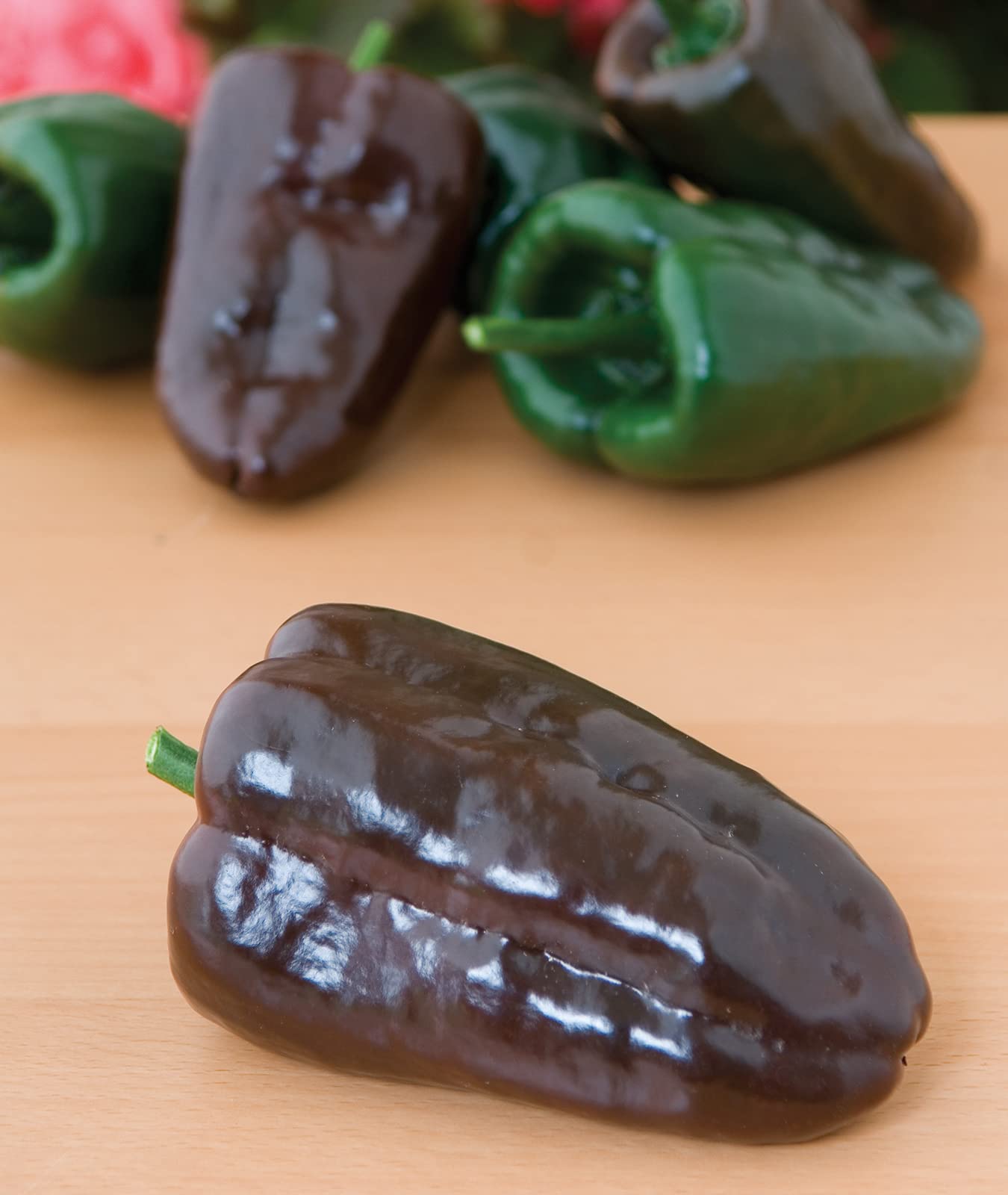 Burpee Poblano (Ancho) Pepper Seeds - 100 Count, Heart-Shaped Dark Green to Red Peppers for Home Gardening, Mexican Cuisine & Salsa Making