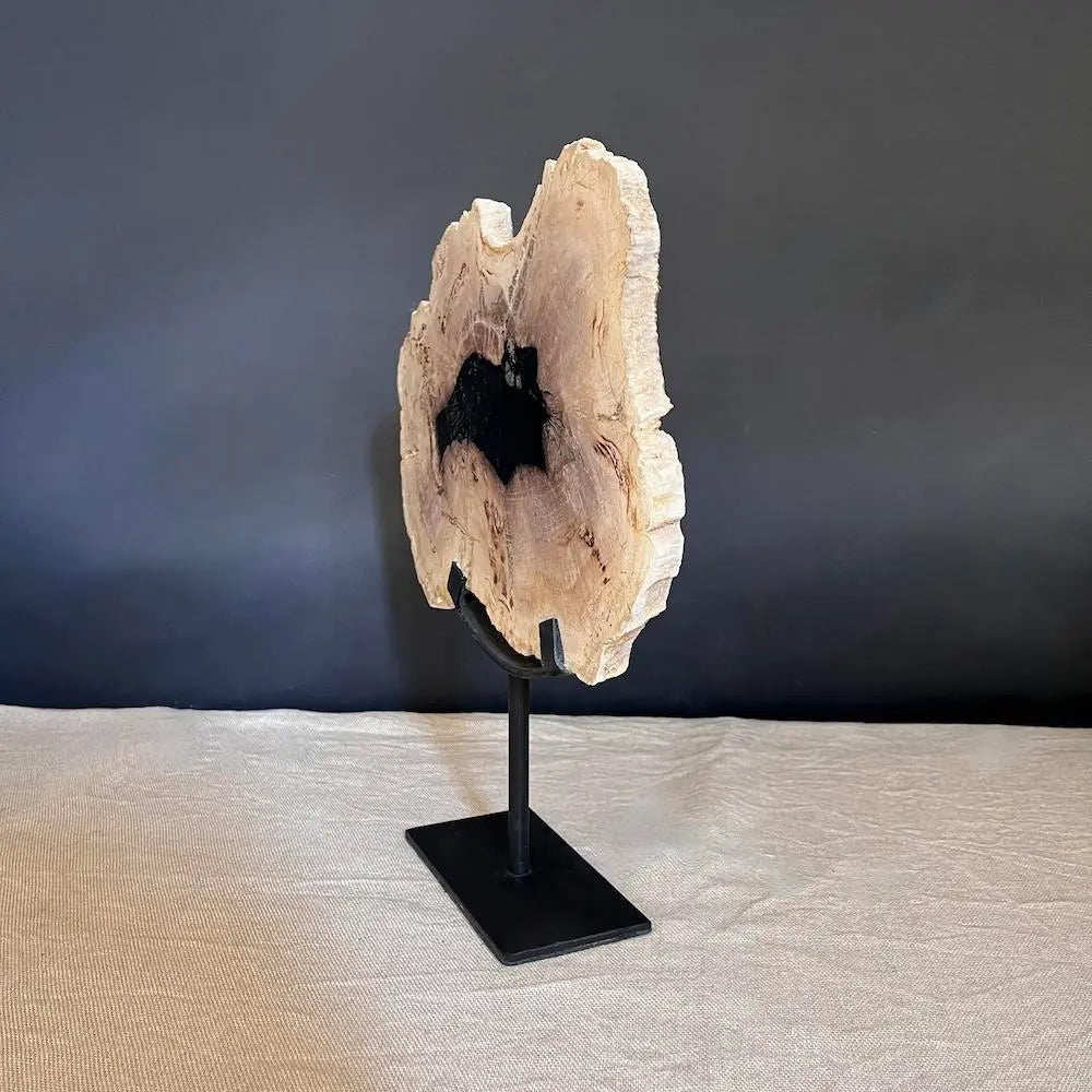 Natural Petrified Wood Slabs for Sale - Unique Fossilized Wood Pieces for Home Decor, Jewelry Making & Collectibles | Perfect for DIY Crafts, Display & Gifts