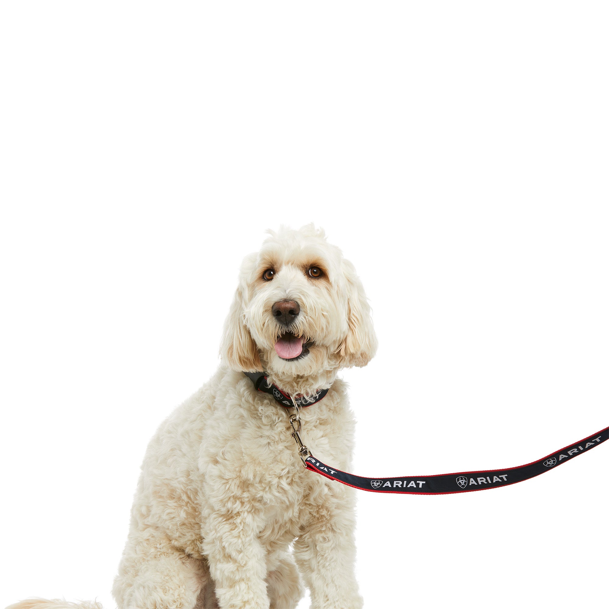 Ariat Dog Leash - Durable Nylon Pet Leash for Small, Medium & Large Dogs - Perfect for Walking, Training & Outdoor Adventures