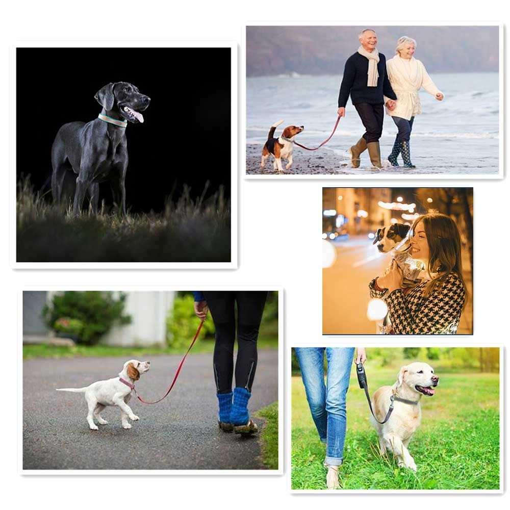 Custom Embroidered Reflective Dog Collar with Name ID - Adjustable & Safe for Small, Medium, Large Dogs | Perfect for Night Walks, Pet Safety & Identification