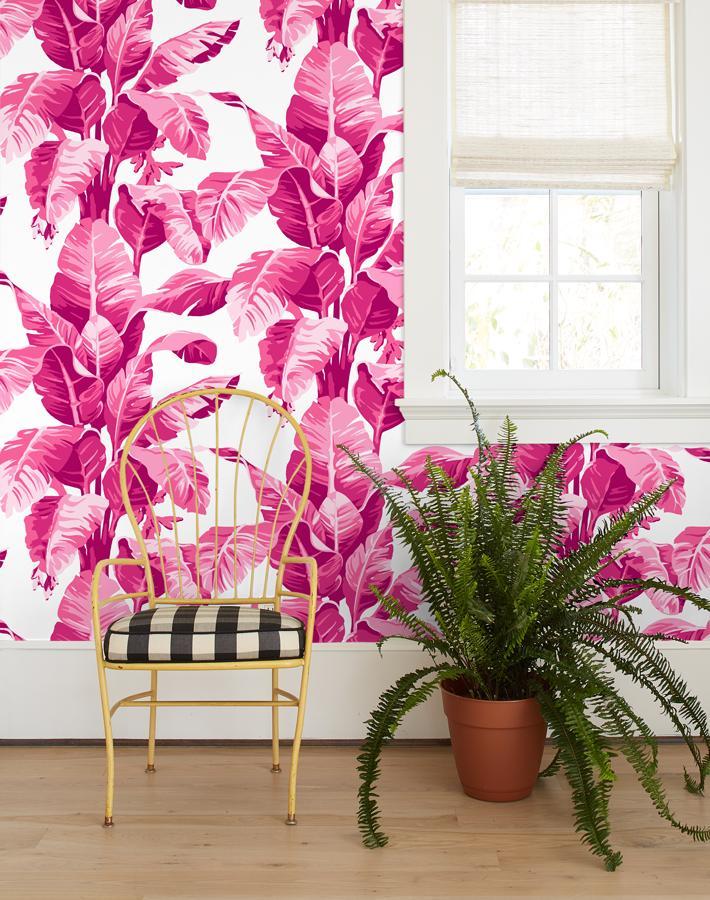 Nathan Turner 'Electric Palm' White Wallpaper - Tropical Botanical Peel & Stick Wallpaper for Living Room, Bedroom, Bathroom Decor