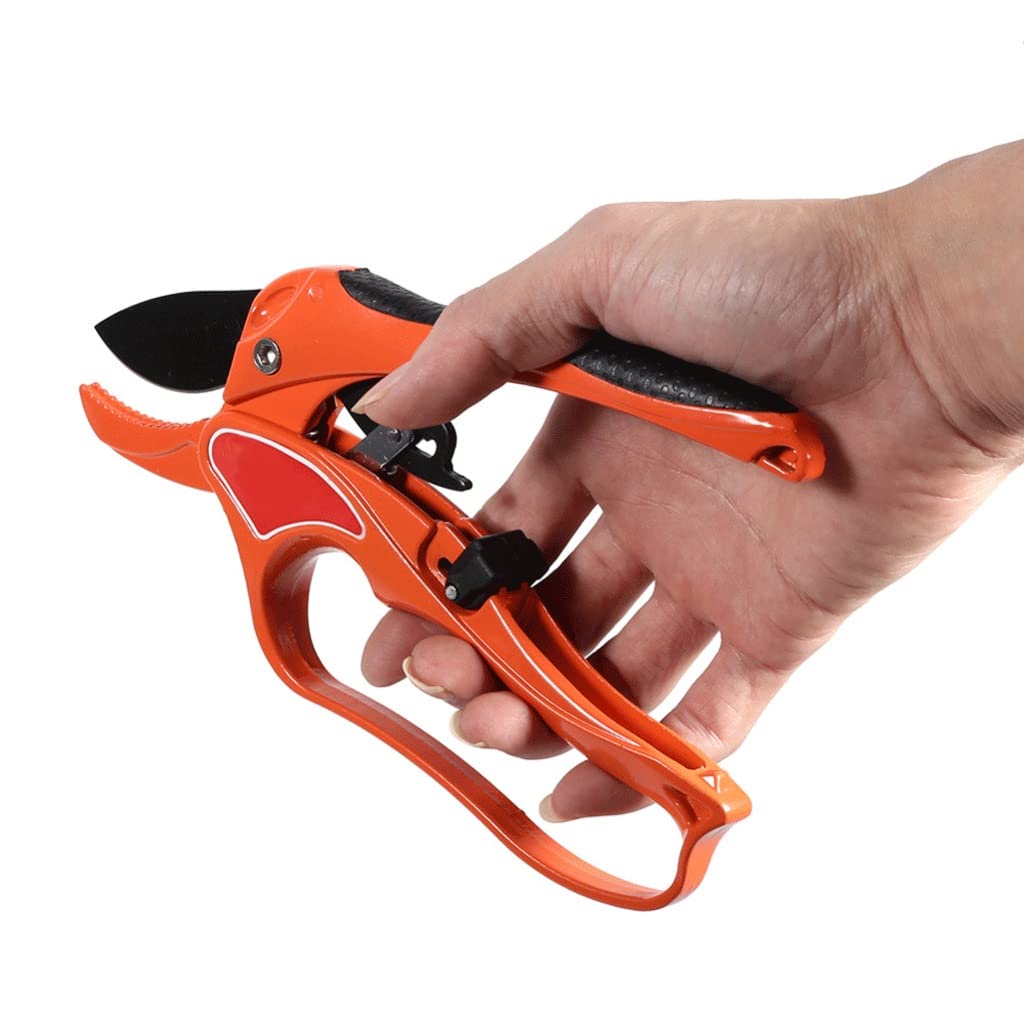 Premium Garden Scissors - 1 Pack Sharp Bonsai Pruning Shears for Fruit Trees, Plants & Gardening | Ergonomic Grafting Tool & Portable Secateurs for Home Garden, Landscaping & Professional Use